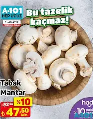 TABAK MANTAR ADET TABAK MANTAR ADET